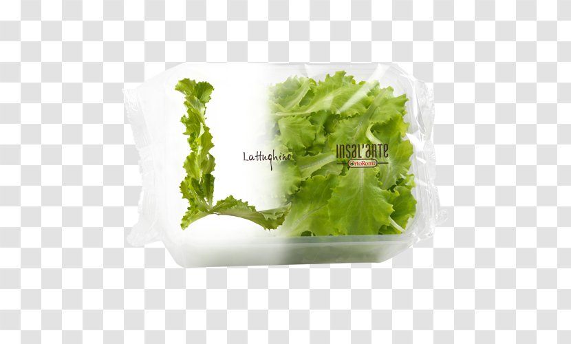Romaine Lettuce Salad Leaf Vegetable - Herb Transparent PNG