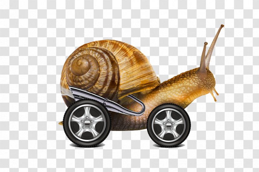 Snail Internet - Invertebrate - Cars Transparent PNG