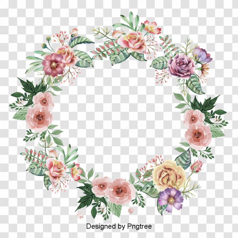 Vector Graphics Floral Design Image Painting - Rose Family Transparent PNG