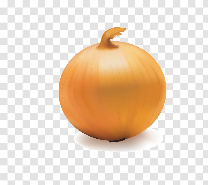 Pumpkin Calabaza Onion Vegetable - Squash - Vegetables Transparent PNG