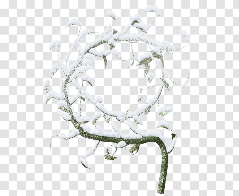 Winter Snow Clip Art - Tree - Creative Transparent PNG