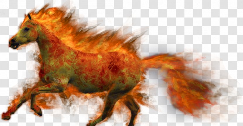 Mustang Pony Desktop Wallpaper Fire Transparent PNG
