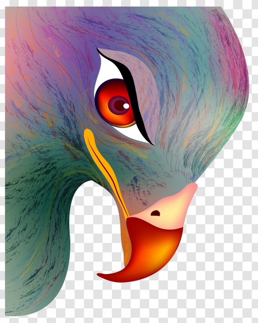 Eye Euclidean Vector Illustration - Eagles Animals Transparent PNG