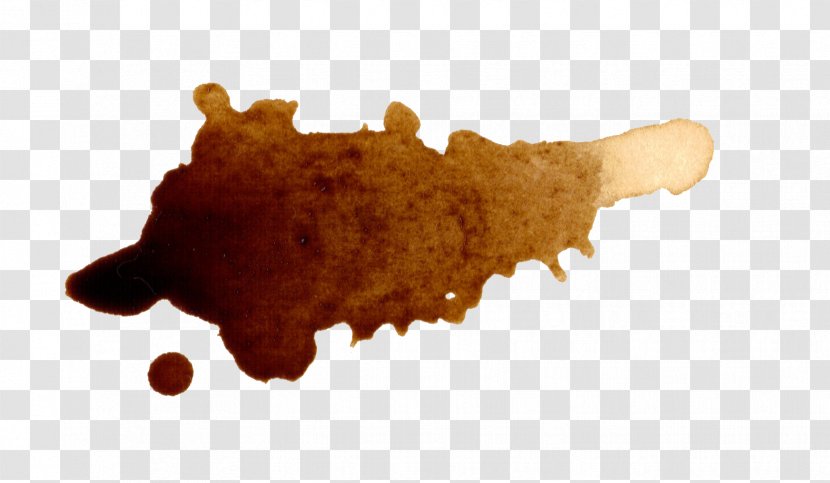 Coffee Latte Espresso Cafe - Bean - Watercolor Stain Transparent PNG