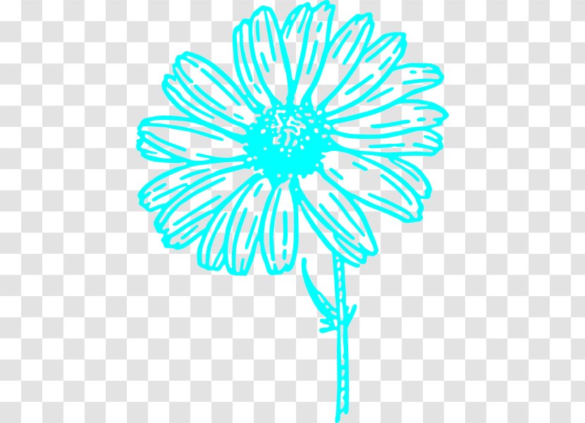 Common Daisy Drawing Clip Art - Organism - Chamomile Transparent PNG
