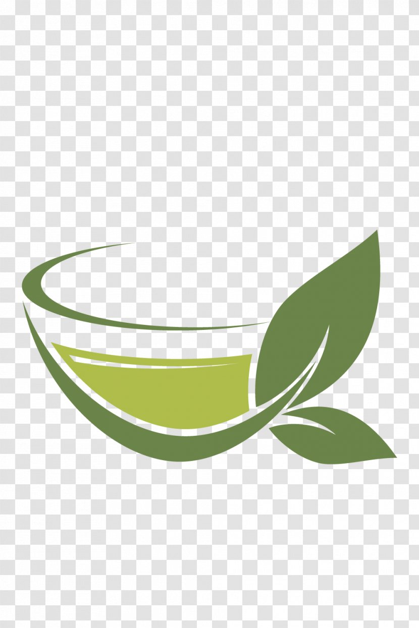 Green Tea Coffee White - Teapot Vector Material Transparent PNG