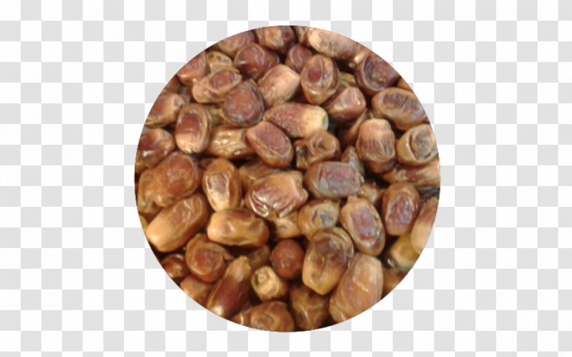 Hazelnut Commodity - Iran Money Transparent PNG