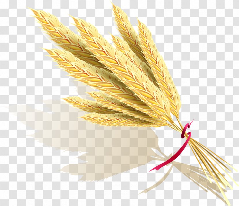 Rice Icon - Commodity - Vector Transparent PNG