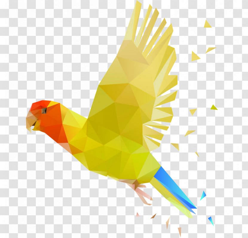 Parrot Bird - Beak - Polygon Transparent PNG