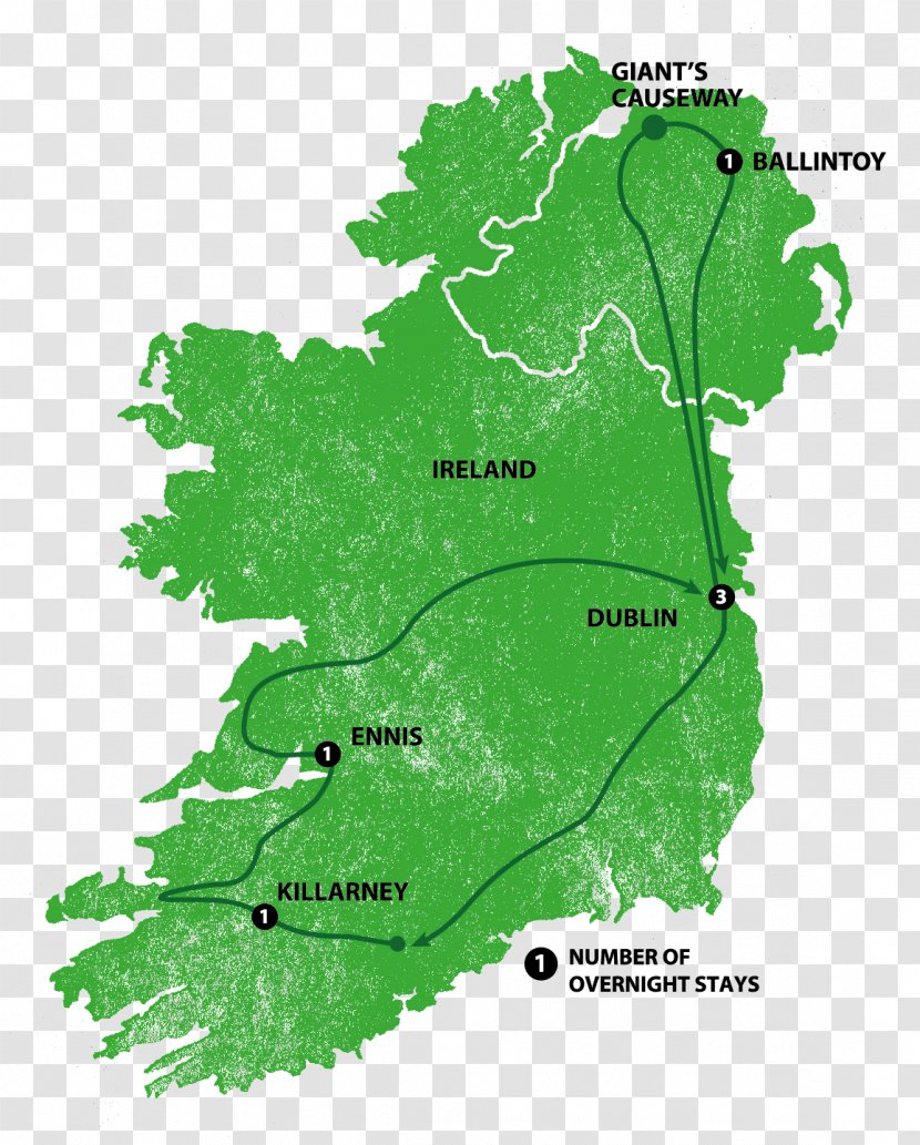 Giant's Causeway Counties Of Ireland Antrim Kildare Vector Graphics - Area Transparent PNG