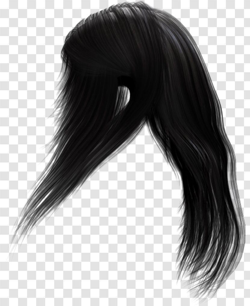 Capelli Long Hair - Mustang Horse - Black Transparent PNG