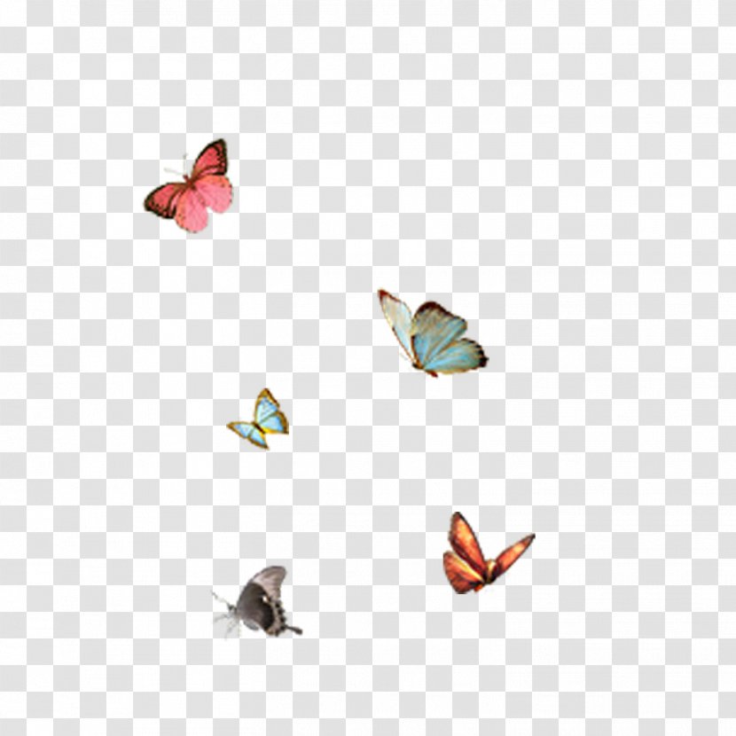 Butterfly Bird Icon Transparent PNG