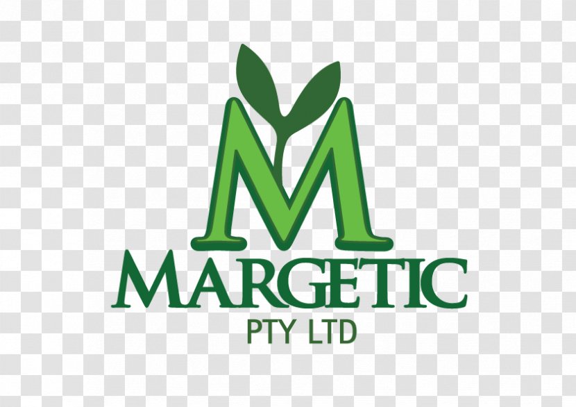 Logo Green Brand Font - Makeawish Foundation Transparent PNG