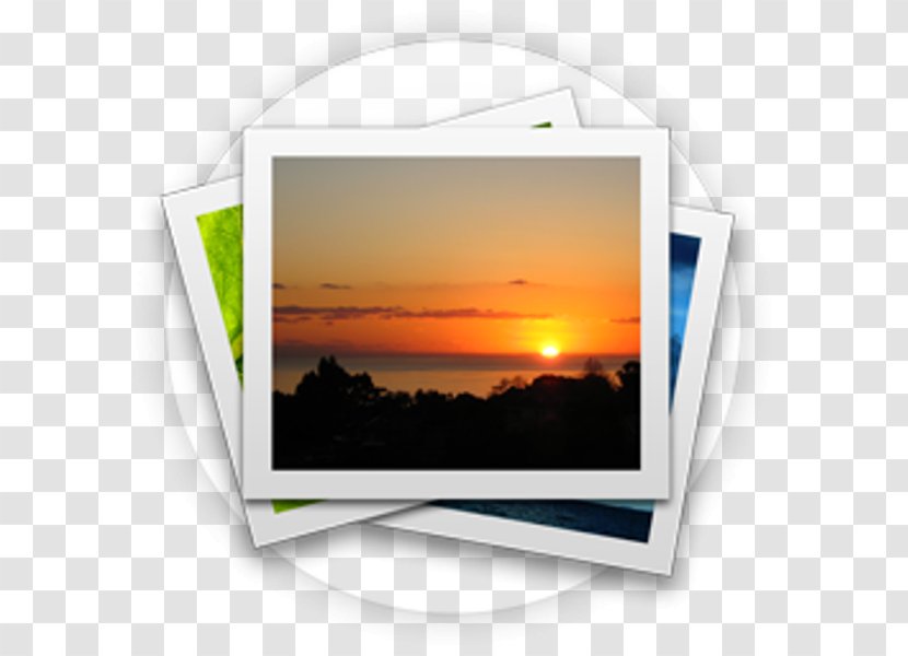 Photo Gallery - Photography - Multimedia Transparent PNG