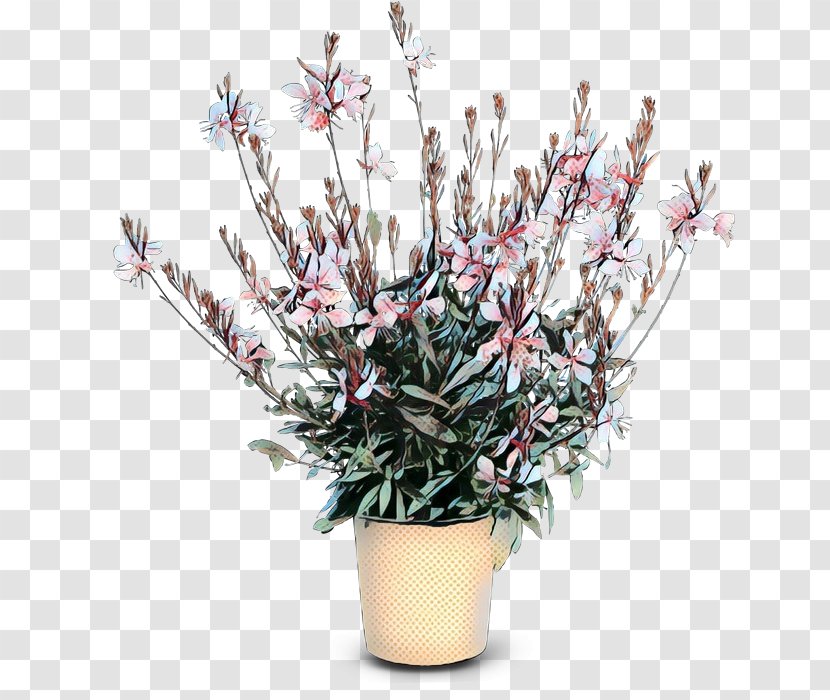Flowers Background - Hugh Laurie - Perennial Plant Heather Transparent PNG