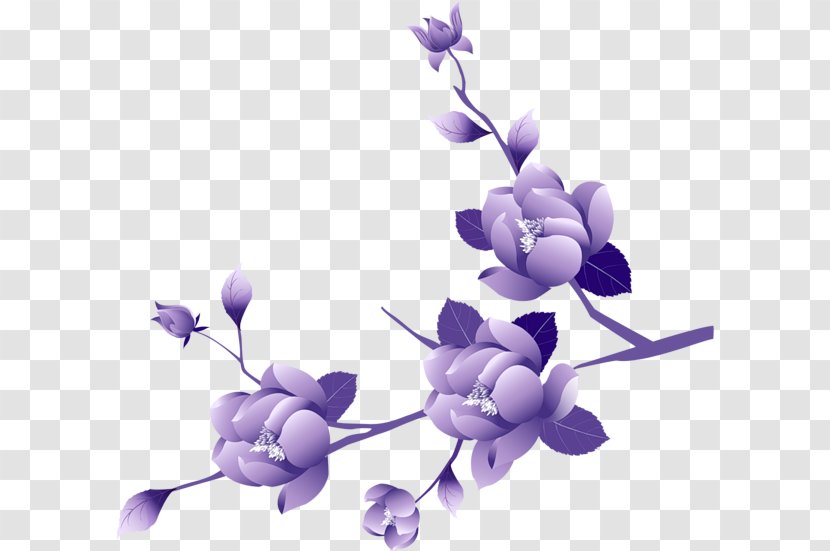 Lavender - Petal - Branch Transparent PNG