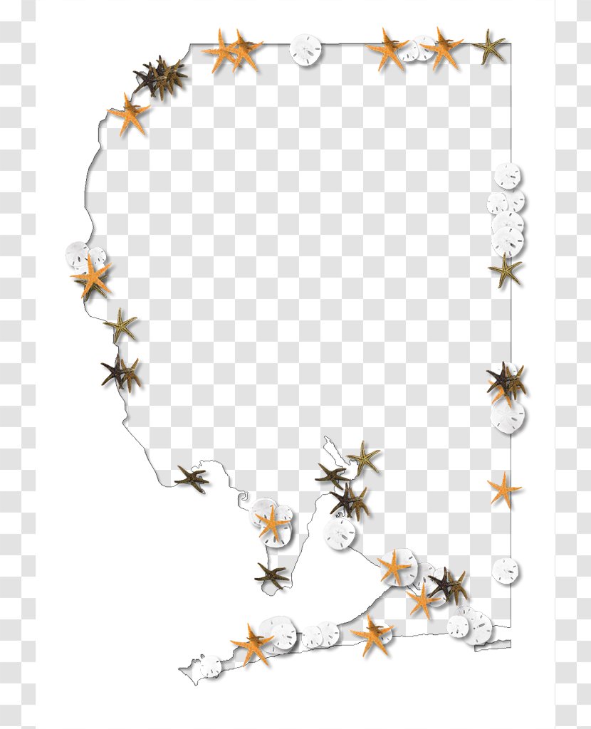 Twig Floral Design Leaf Pattern - Starfish Outline Transparent PNG