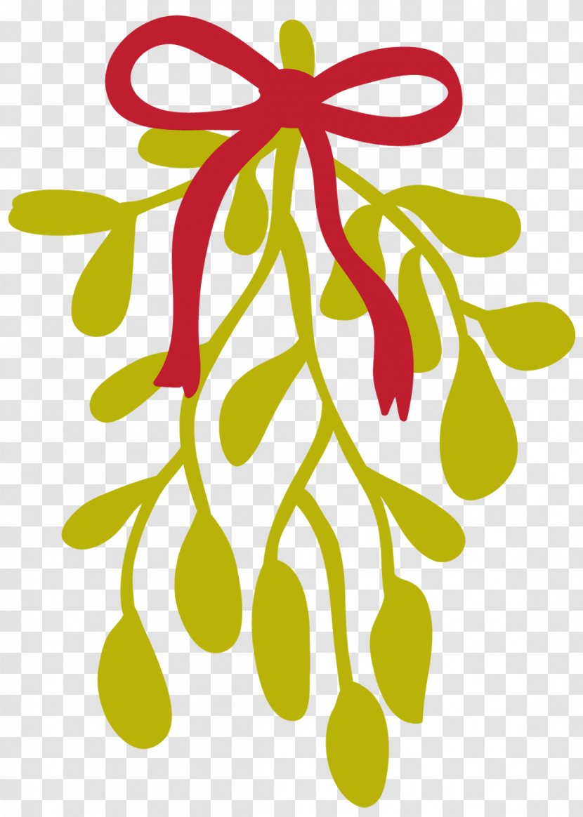 Mistletoe Common Holly Leaf Clip Art - December Clipart Transparent PNG