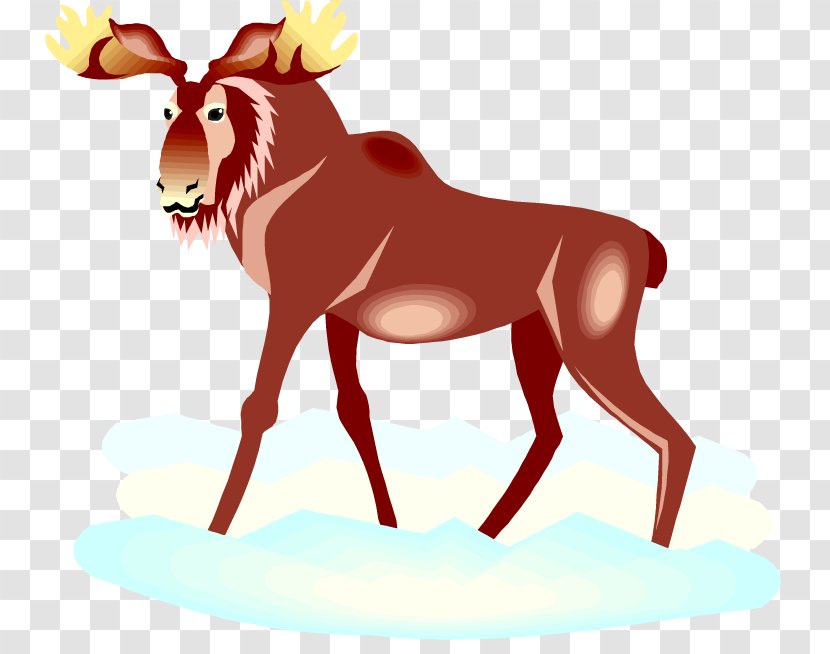 Moose Reindeer Clip Art - Vertebrate Transparent PNG