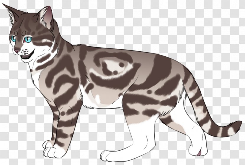 Whiskers Wildcat Fur Terrestrial Animal - Wild Cat Transparent PNG