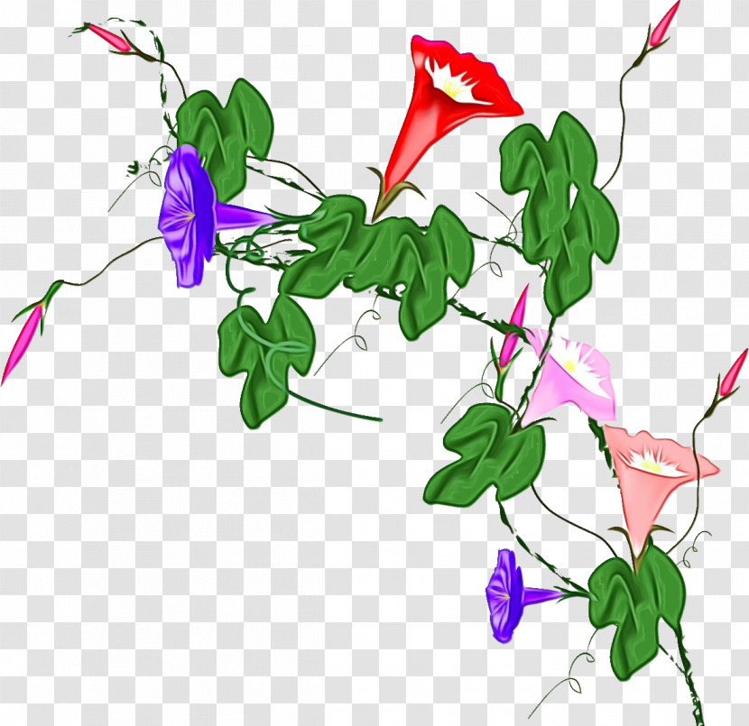 Floral Design Transparent PNG