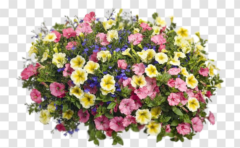 Floral Design Flowerpot Garden Petunia - Flower Transparent PNG