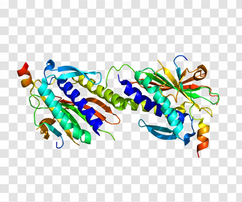MAD2L2 REV3L Protein Gene DNA - Text - Chromosome Transparent PNG
