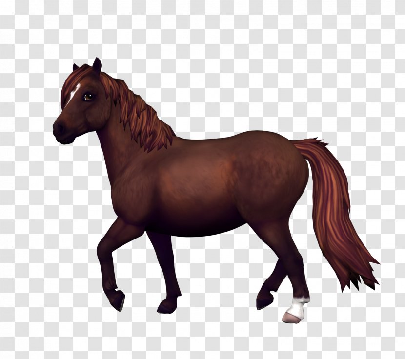 Lusitano Star Stable Video North Swedish Horse The Chincoteague Pony - Mammal - Edits Transparent PNG