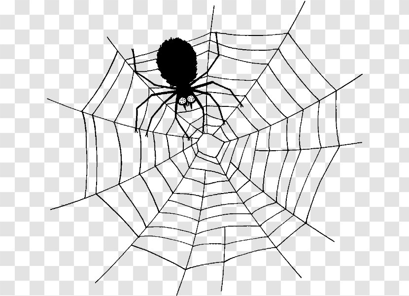 Spider Web Clip Art Vector Graphics - Drawing - Circular Transparent PNG