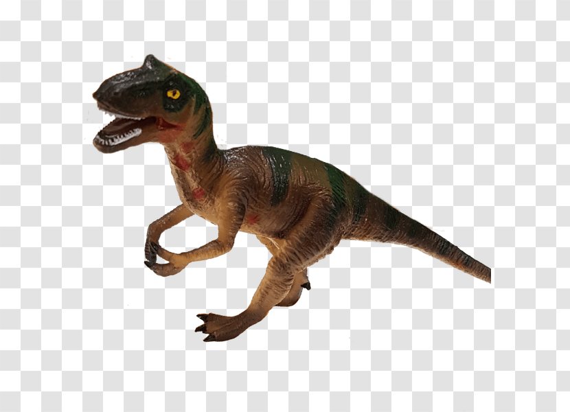 Velociraptor Tyrannosaurus Animal - Figure - Allosaurus Transparent PNG