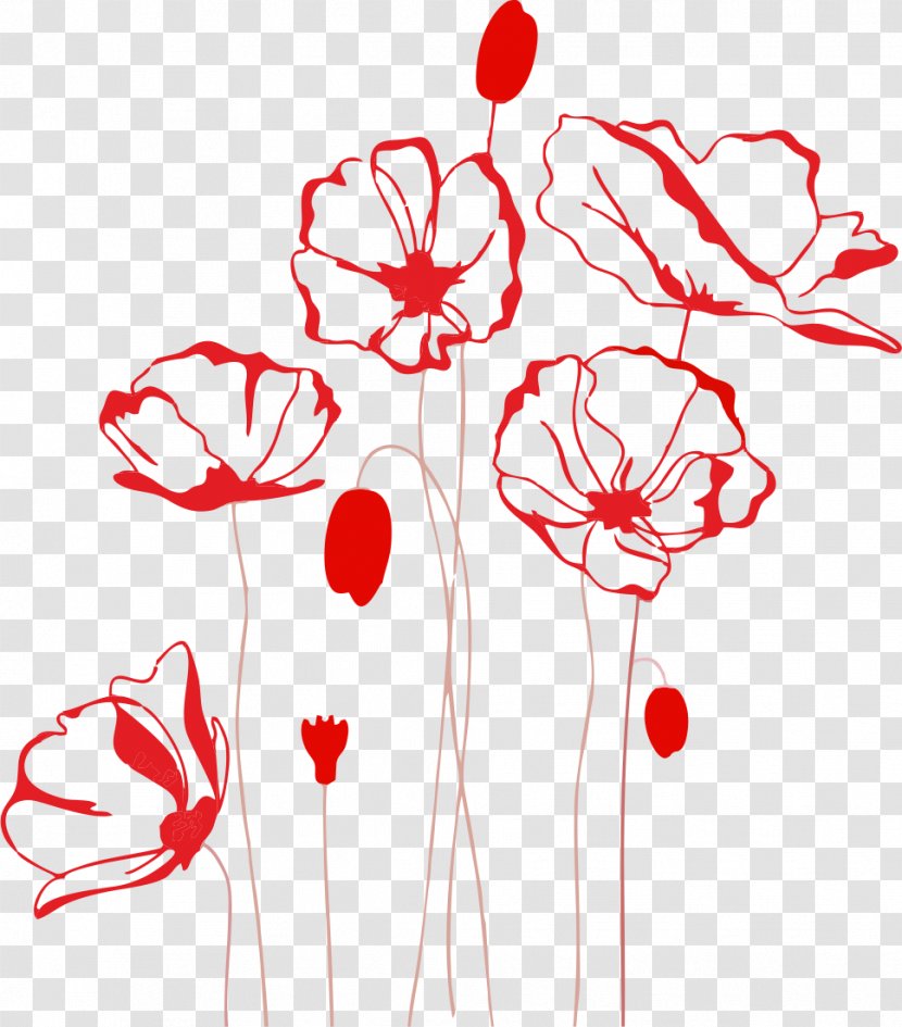 Opium Poppy Stencil Flower Transparent PNG