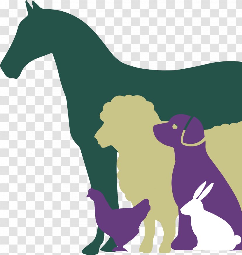 Dog Animal Figure Sporting Group Tail Transparent PNG