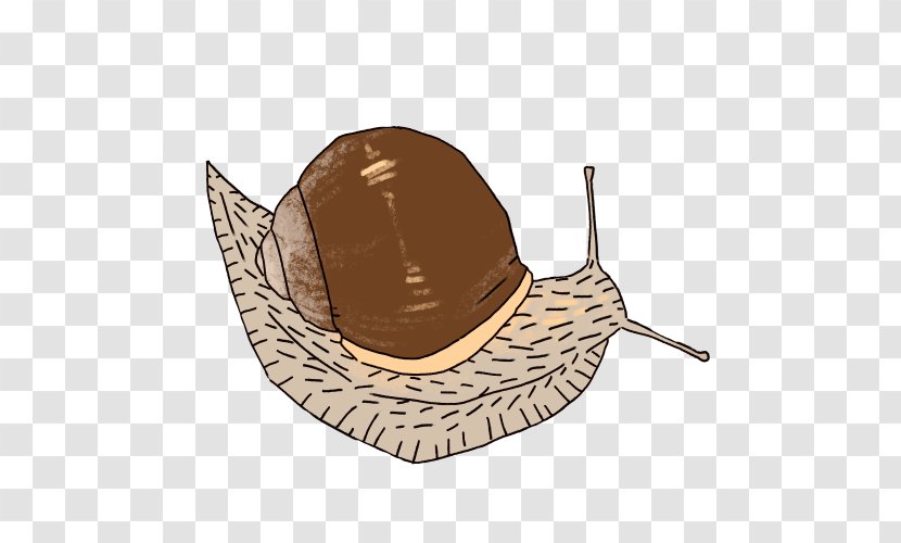 Hat Snail - Giant African Transparent PNG