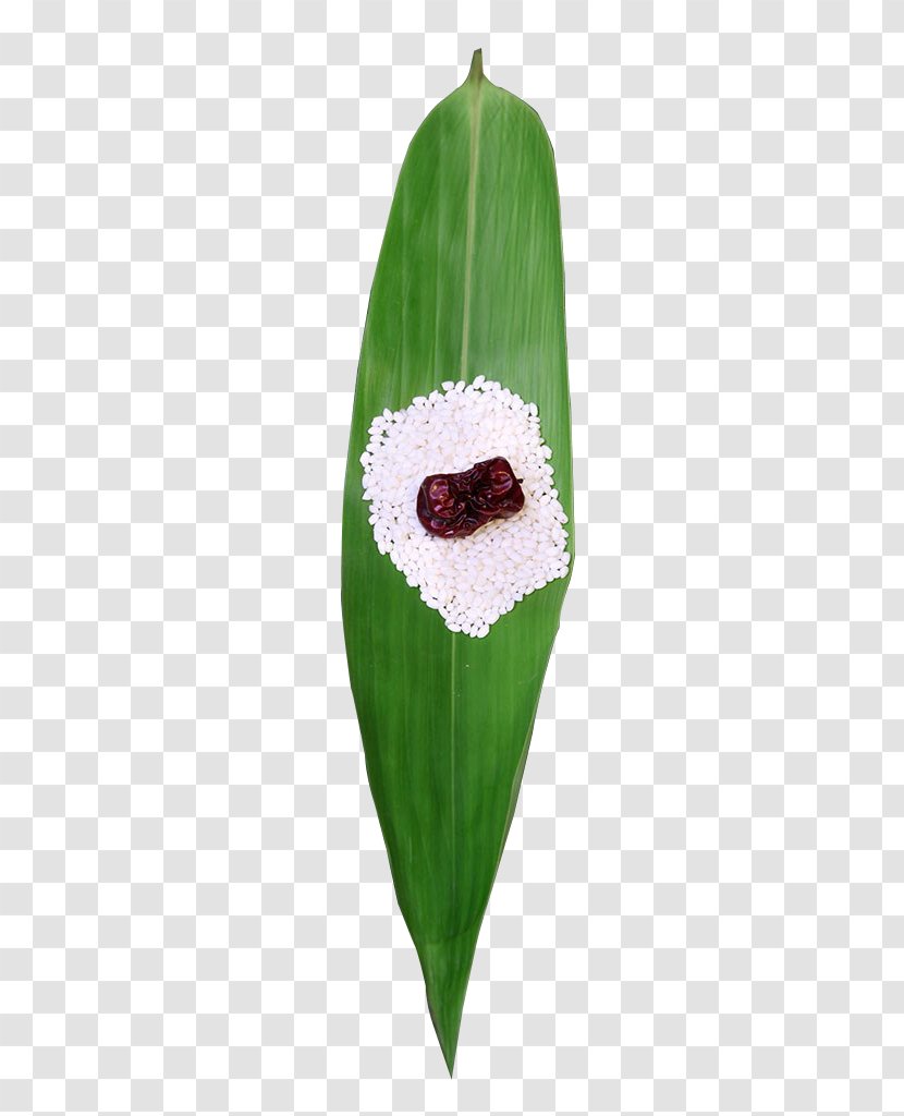Zongzi Leaf Glutinous Rice - Bag - Bamboo Leaves And Jujube Pictures Transparent PNG