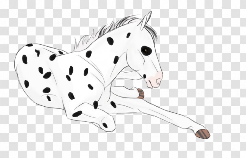 Dalmatian Dog Cat Horse Non-sporting Group Paw - Fictional Character - Canter And Gallop Transparent PNG