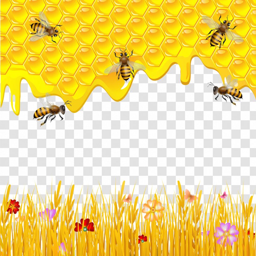 Western Honey Bee Honeycomb Drawing - Yellow - And Pictures Transparent PNG