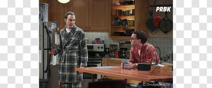 Sheldon Cooper Leonard Hofstadter Penny The Big Bang Theory - Season 4 - 9 Television ShowRuy Transparent PNG