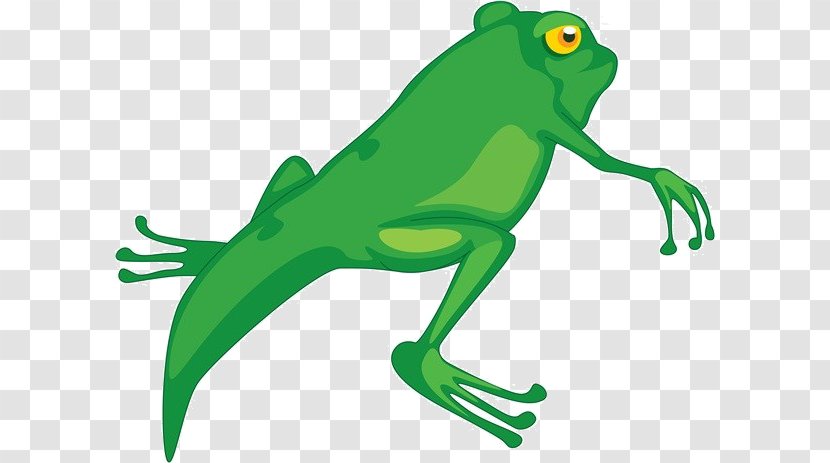 Frog Tadpole Cartoon Clip Art - Fictional Character - Lizard Material Transparent PNG