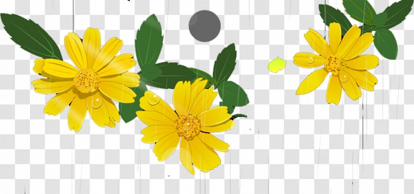 Chrysanthemum Flower Euclidean Vector Transparent PNG