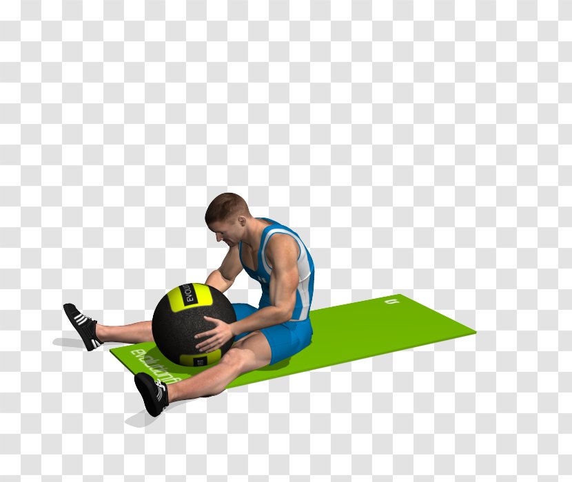 Medicine Balls Physical Fitness Crunch Exercise Rectus Abdominis Muscle - Flower - To The Wall Transparent PNG