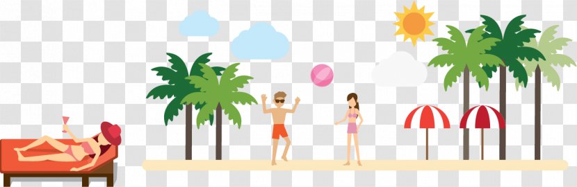 Euclidean Vector Illustration - Plant - Coco Bed Volleyball Material Transparent PNG