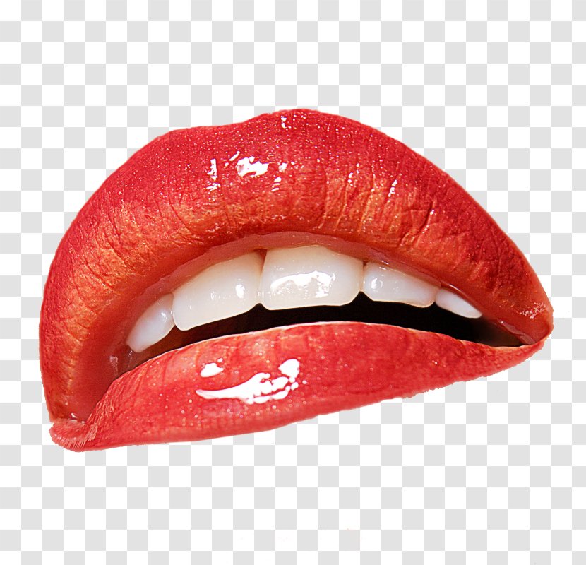 Tooth Dentistry Lip Mouth - Human - LABIOS Transparent PNG