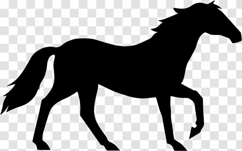 Animals On White Horse Silhouette Drawing Vector Graphics - Rein Transparent PNG