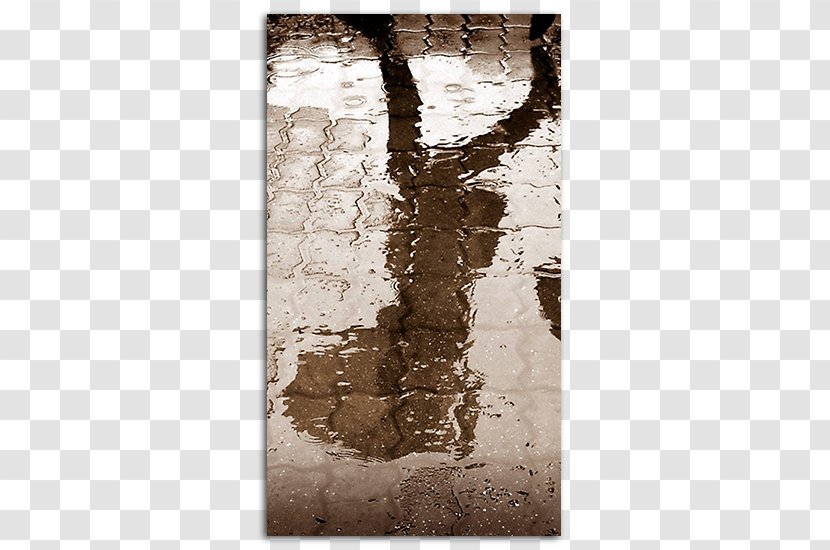 Desktop Wallpaper Rammah 1080p - Drop - Rainy Day Transparent PNG