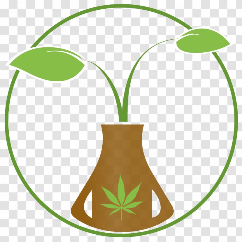 Cannabis Hemp Cannabidiol Kush MediCann CBD - Flower - Shop Transparent PNG