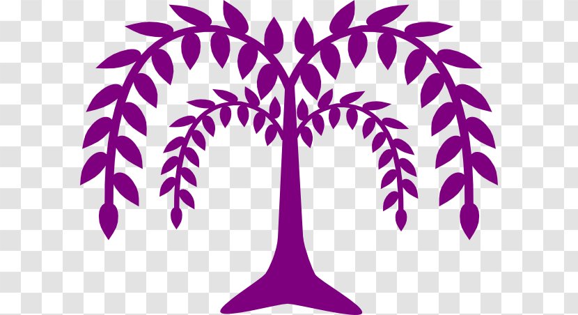 Weeping Willow Tree Drawing Clip Art - Violet Transparent PNG