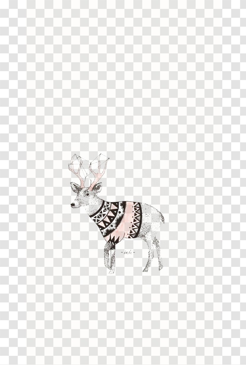 Reindeer Cartoon Illustration - White - Deer Transparent PNG