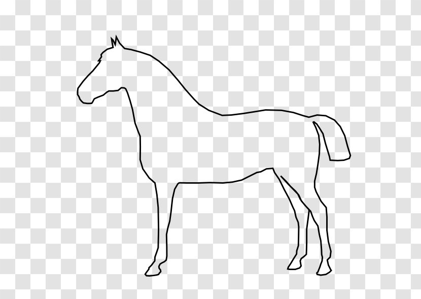 Horse Foal Stallion Clip Art - Drawing Transparent PNG