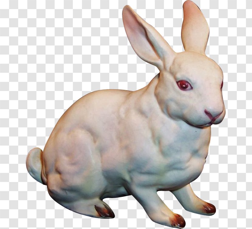 Hare Domestic Rabbit Easter Bunny Bunnies & Rabbits Transparent PNG