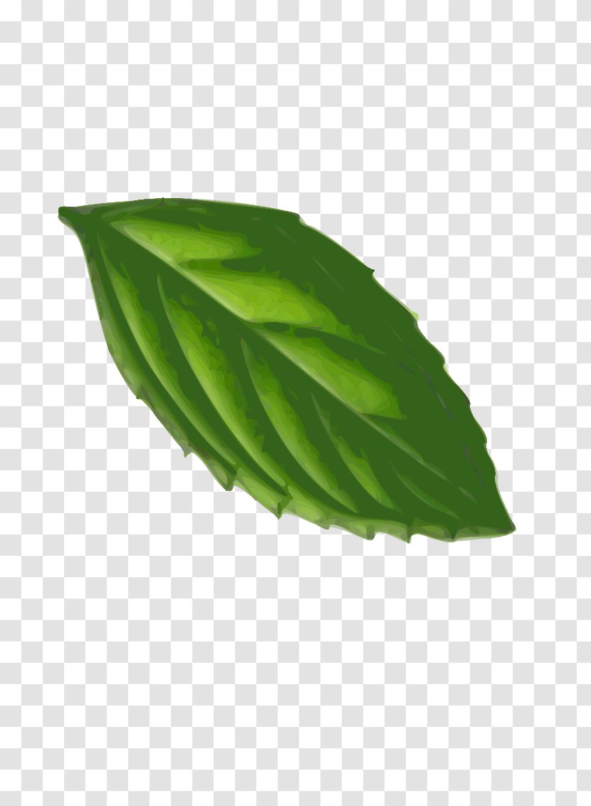 Peppermint Leaf Clip Art - Banana Leaves Transparent PNG